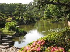﻿金剛寺の庭園① こんな風に楽しもう！！ 【河内長野 こんなオモロイとこ！！】